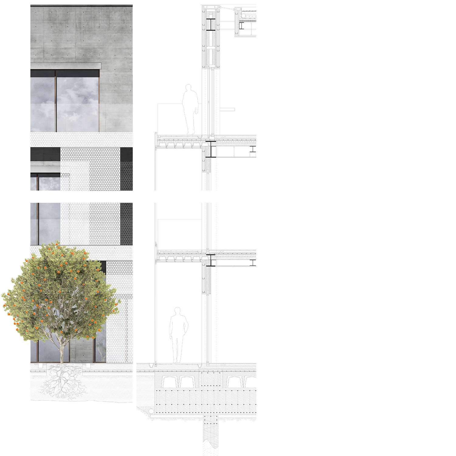 Student Housing - anonimo architettura
