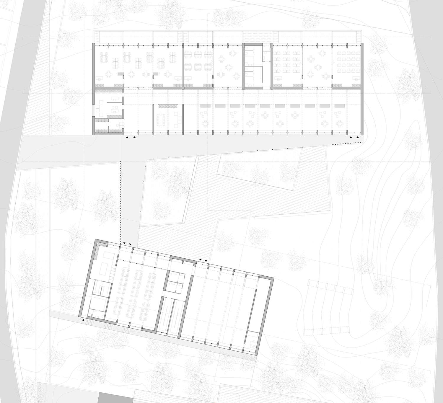 Scuola elementare - anonimo architettura