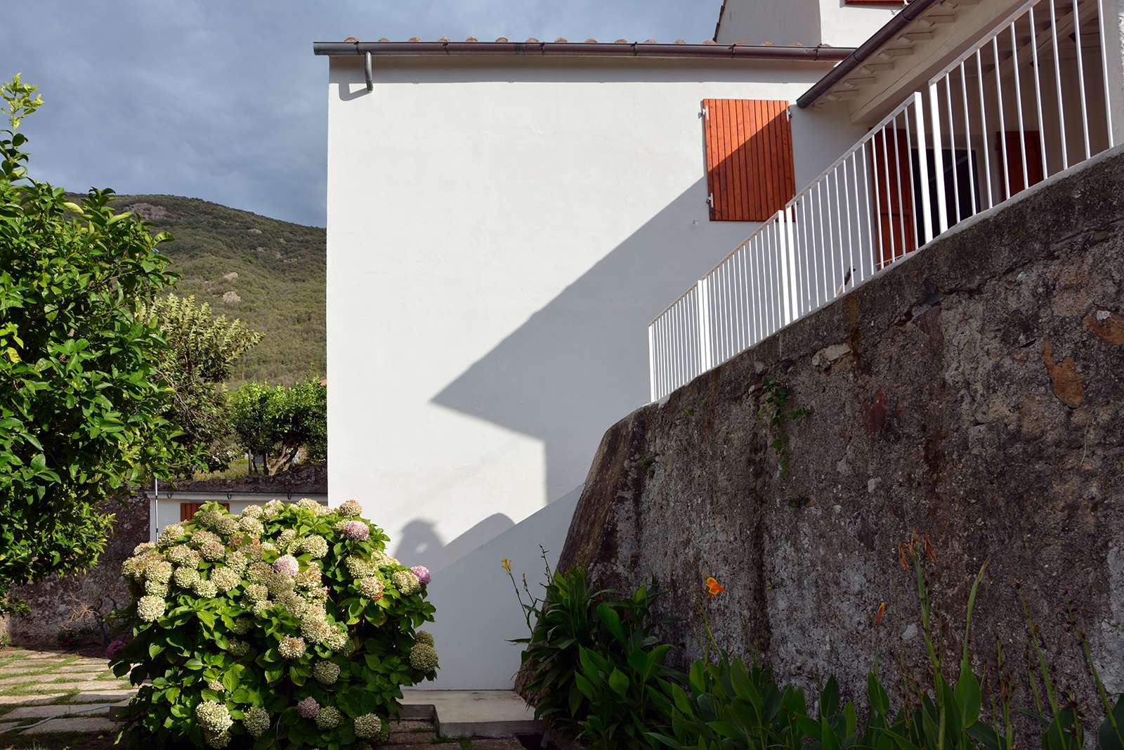 anonimo architettura | N