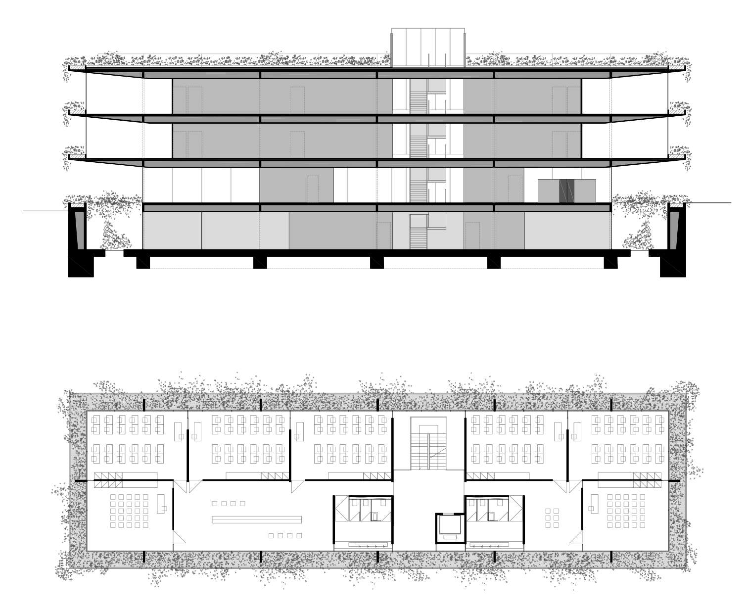 Scuola primaria - anonimo architettura
